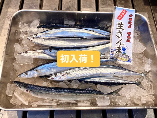 今シーズン初めて登場！